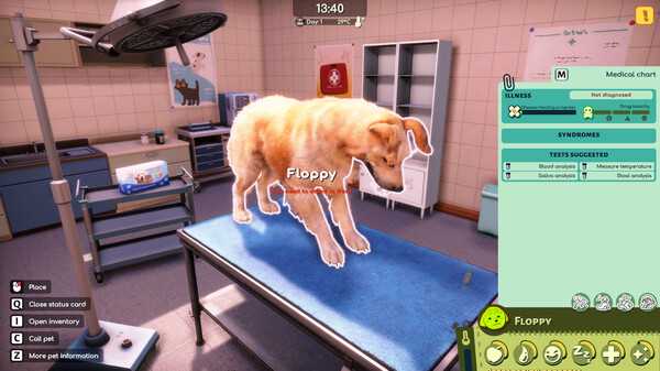 animal-shelter-2