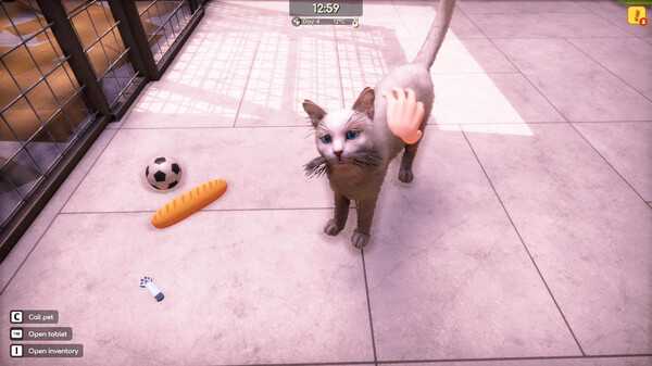 animal-shelter-2