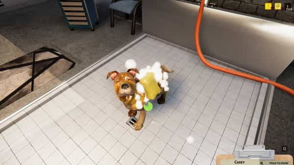 animal-shelter-v1117