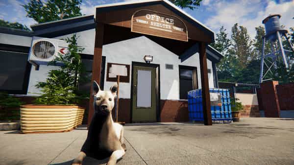 animal-shelter-v1117