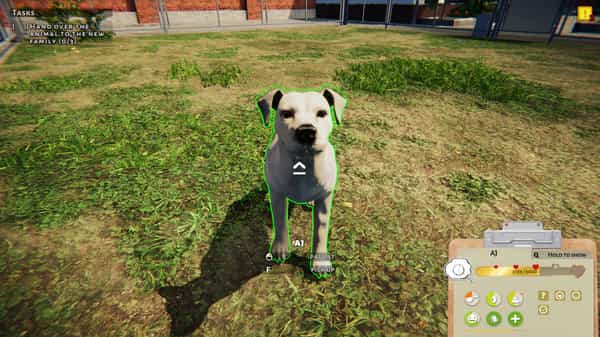animal-shelter-v1117