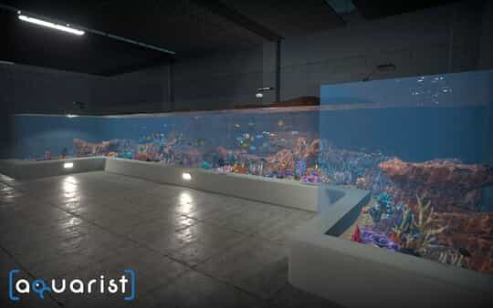 aquarist-viet-hoa