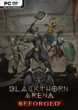 blackthorn-arena-reforged-mist-of-chivalrous-shadow-v26-viet-hoa