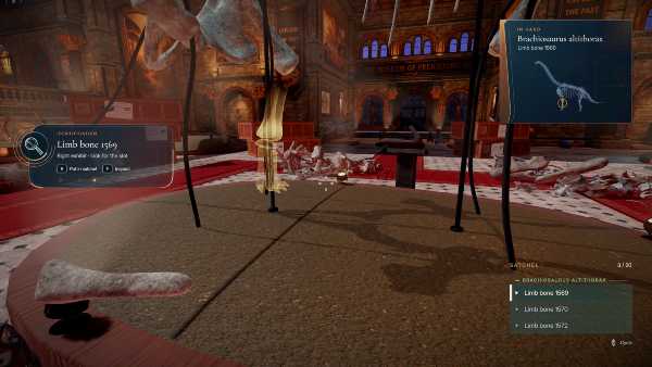 dinobones-tidy-up-the-museum