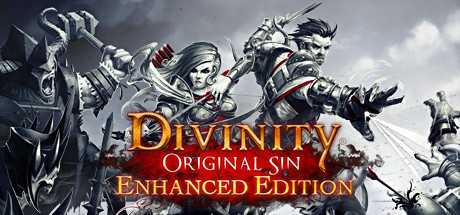 divinity-original-sin-enhanced-edition-viet-hoa-online-multiplayer