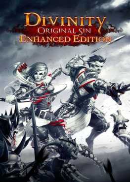 divinity-original-sin-enhanced-edition-viet-hoa-online-multiplayer