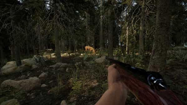 evergreen-mountain-life-simulator