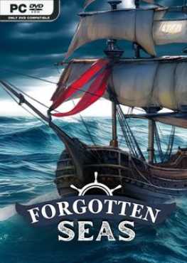 forgotten-seas-viet-hoa-online-multiplayer