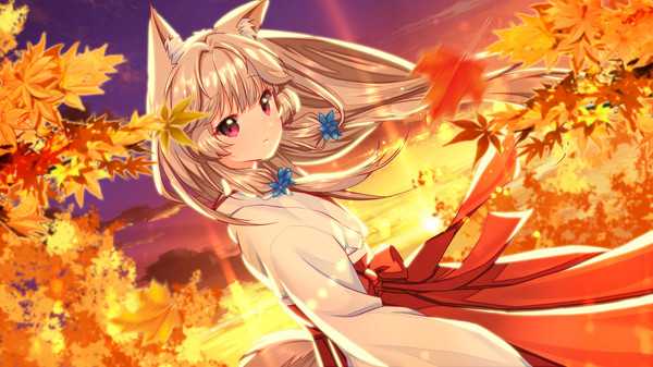fox-hime-viet-hoa