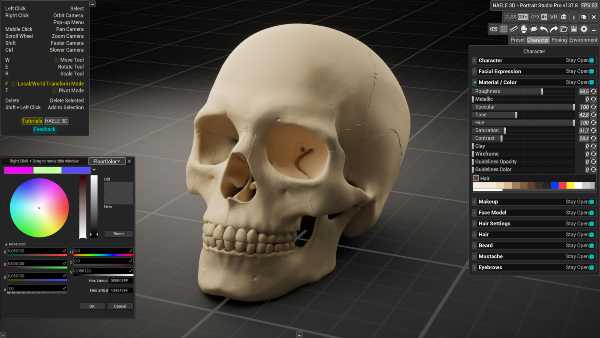 haele-3d-portrait-studio-pro-drawing-references-viet-hoa