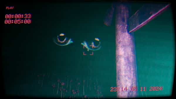 in-the-footage