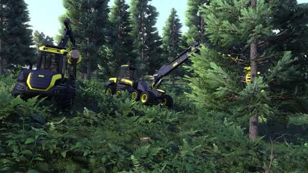 lumberjacks-dynasty-v107