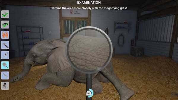 my-life-zoo-vet