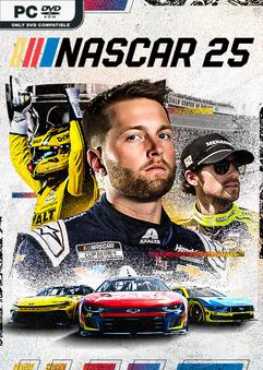 nascar-25-gold-edition-online-multiplayer