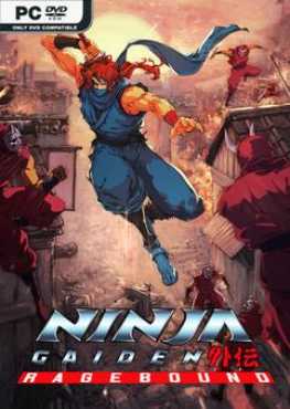 ninja-gaiden-ragebound-build-cs37895-viet-hoa