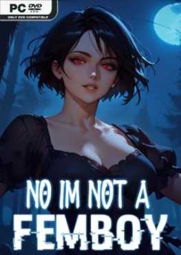 no-im-not-a-femboy-viet-hoa