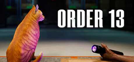 order-13