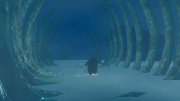 penguin-colony-viet-hoa