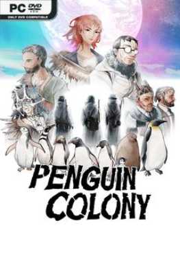 penguin-colony-viet-hoa