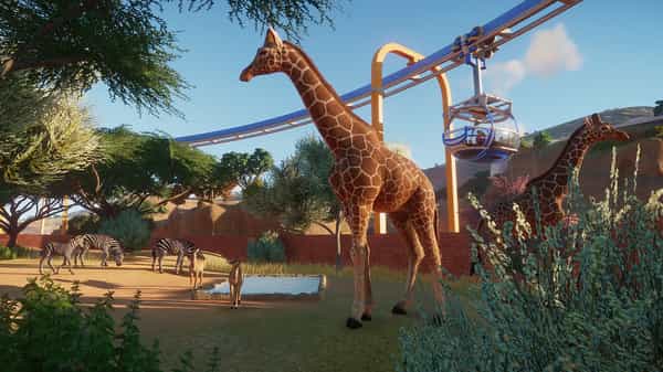 planet-zoo-deluxe-edition-viet-hoa