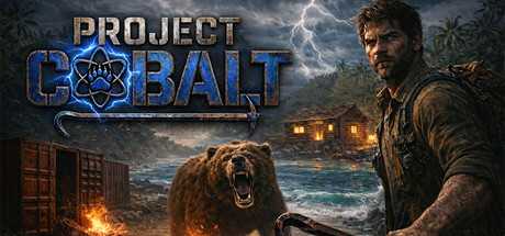 project-cobalt-viet-hoa