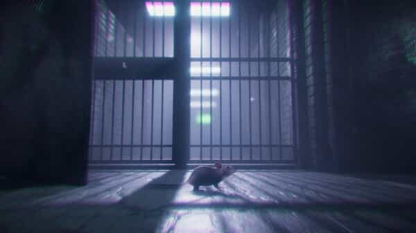 rat-cage