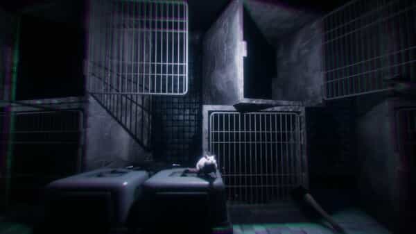 rat-cage