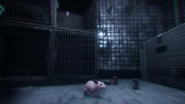 rat-cage
