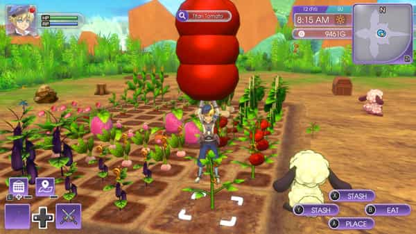 rune-factory-5-viet-hoa-full-mods