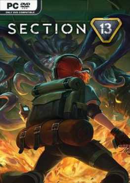 section-13-v28052025-viet-hoa-online-multiplayer