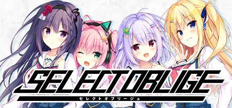 select-oblige-viet-hoa