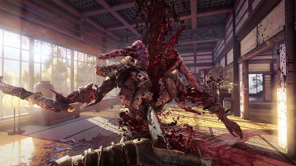 shadow-warrior-2-deluxe-edition-online-multiplayer