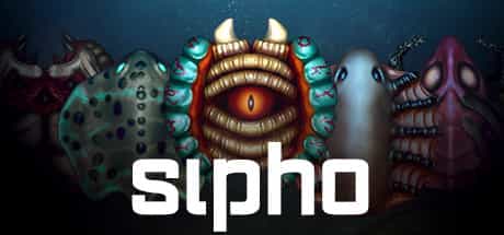 sipho