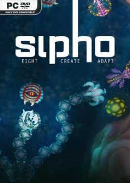 sipho