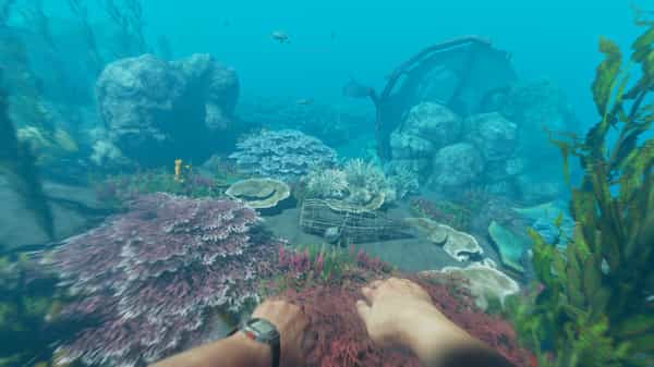 stranded-deep-v10170-online-multiplayer