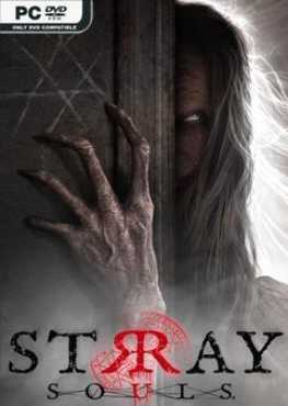 stray-souls-viet-hoa