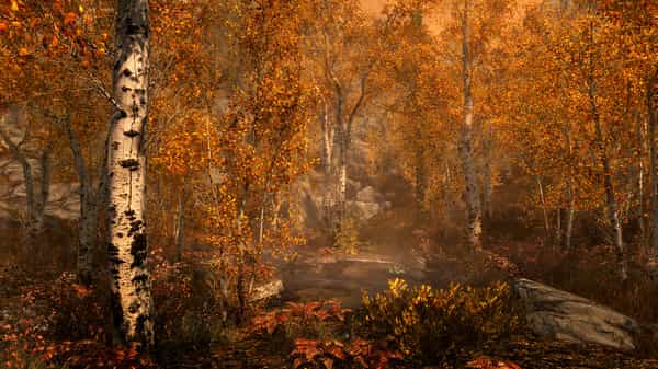 the-elder-scrolls-v-skyrim-special-edition-v16640-viet-hoa