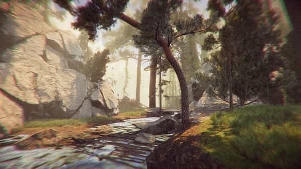 the-forest-cathedral