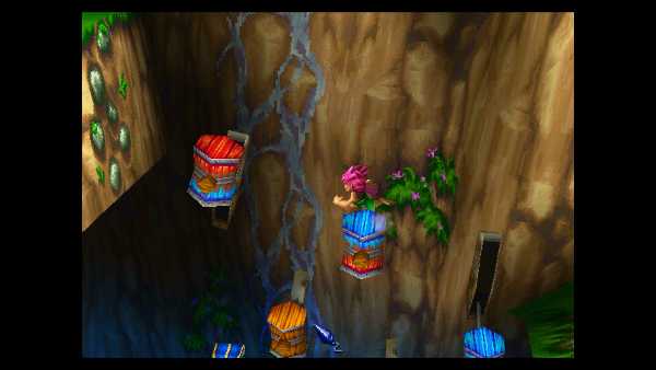 tomba-2-the-evil-swine-return-special-edition