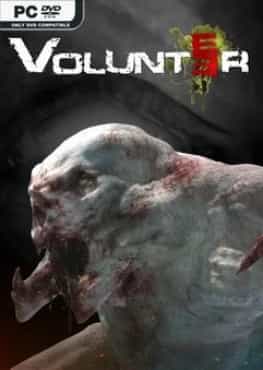volunteer