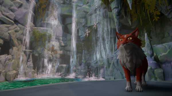 warrior-cats-clans-of-the-forest