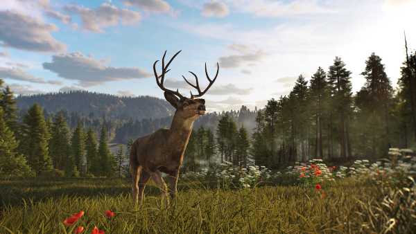 way-of-the-hunter-2