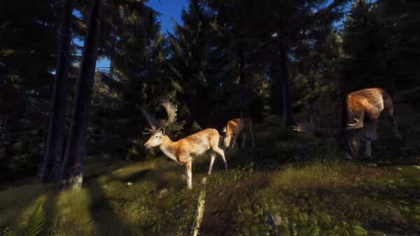 way-of-the-hunter-v23022023-online-multiplayer