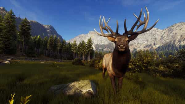 way-of-the-hunter-v23022023-online-multiplayer