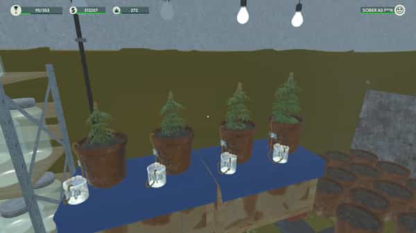 weed-shop-3-v20230216