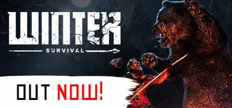 winter-survival-viet-hoa