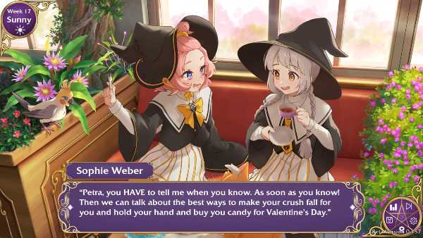 witch-please