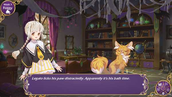 witch-please